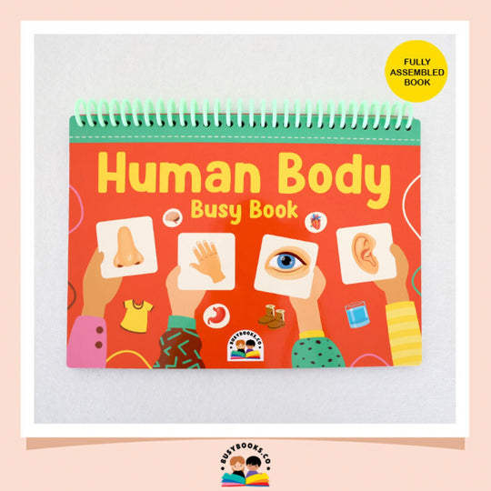 Human Body Busy Book - BUSY BOOKS CO